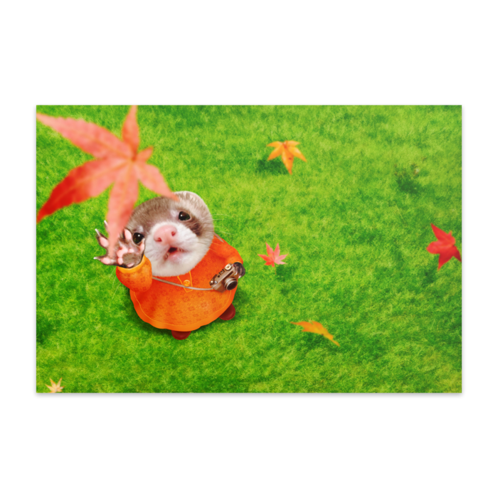 ポストカード(10枚セット) - ヴァンヌーボVGスノーホワイト195kg