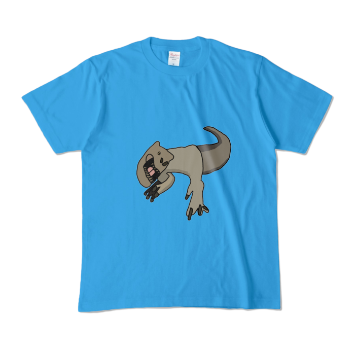 カラーTシャツ - M - ターコイズ (濃色)