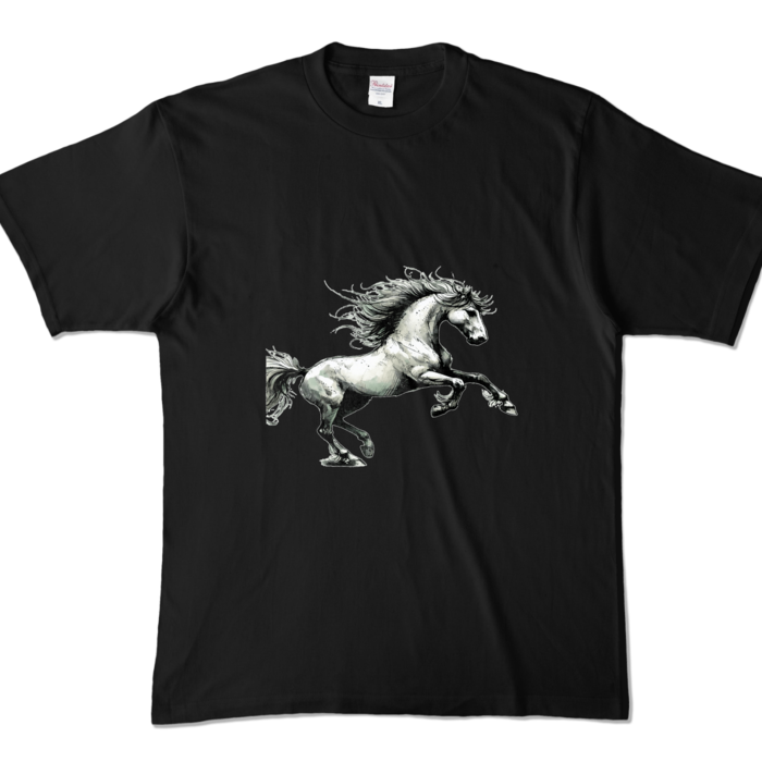 カラーTシャツ - XL - ブラック (濃色)
