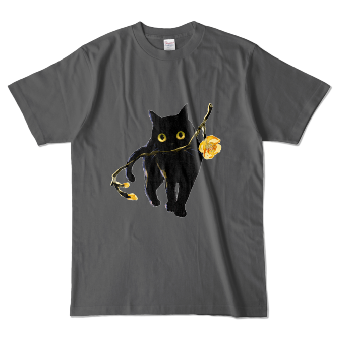 カラーTシャツ - L - チャコール (濃色)