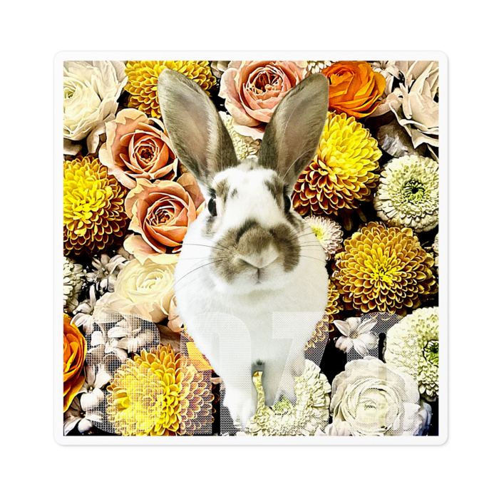 ステッカー - 100 x 100 (mm)