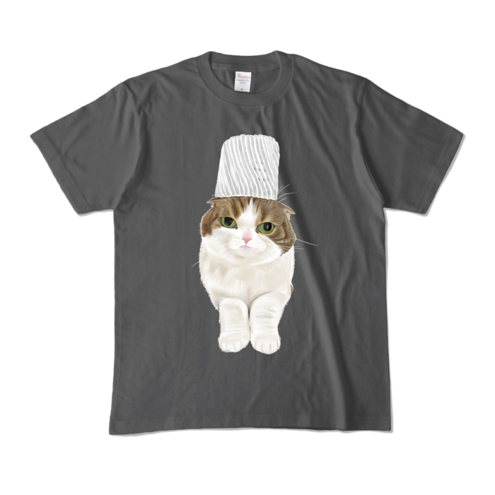 カラーTシャツ - M - チャコール (濃色)