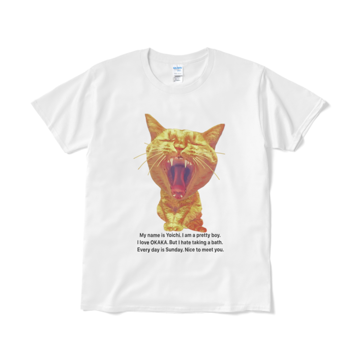 Tシャツ(短納期) - L - ホワイト