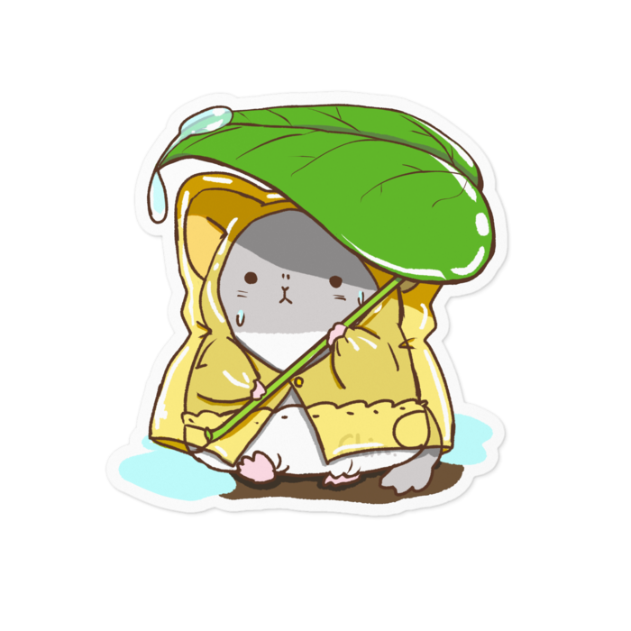 雨強いね…