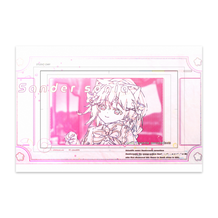 原画風ポストカードD