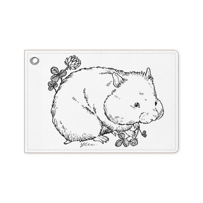 パスケース - 70 x 105 (mm)