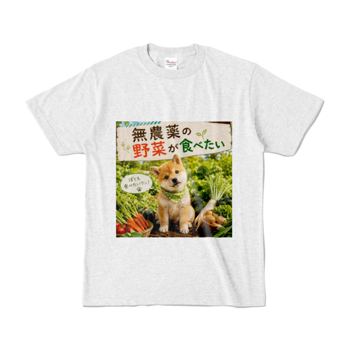 カラーTシャツ - S - アッシュ （淡色）