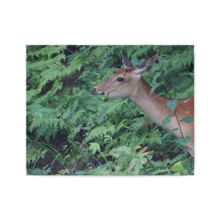 キャンバス - F6