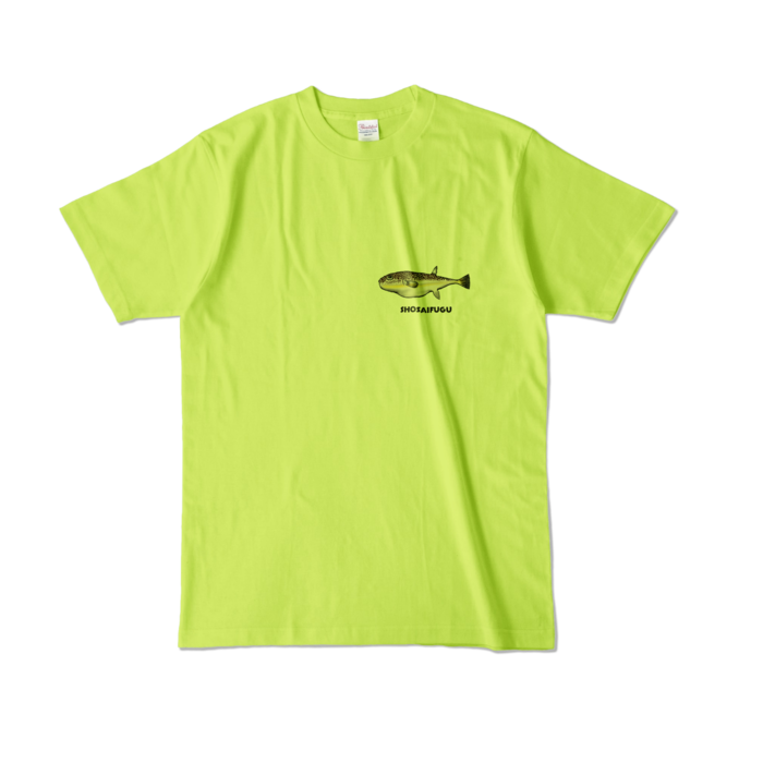 カラーTシャツ - L - ライトグリーン (淡色)