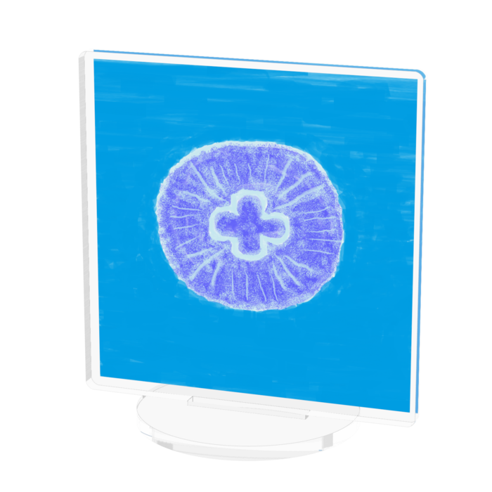 アクリルフィギュア - 70x70mm