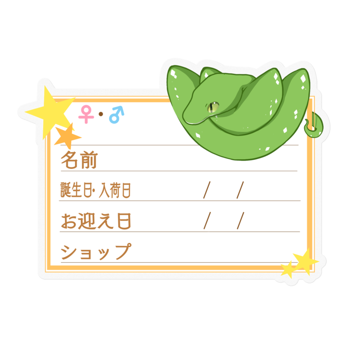 【🐍お名前ステッカー】グリンパイ(アルー) ‐星