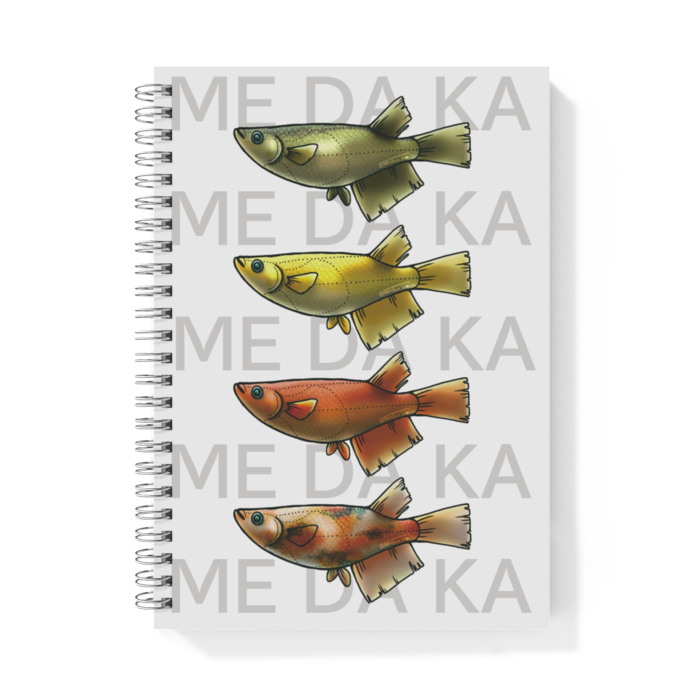 ME DA KA(赤)　ー　A5