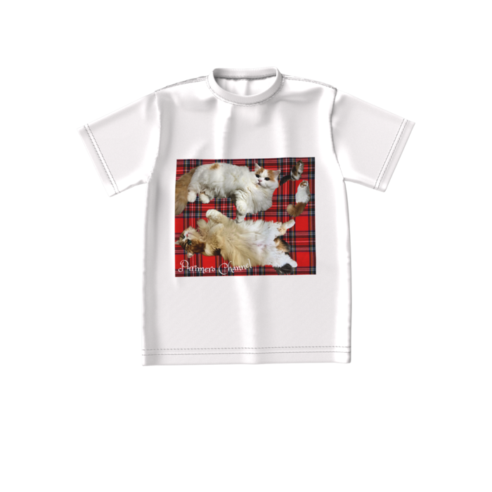 ビッグシルエットTシャツ - S - 両面