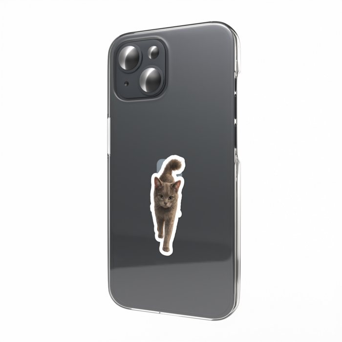 スマホステッカー - W55 × H91mm 以内