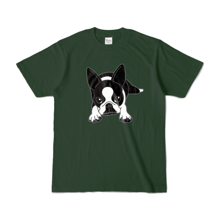 カラーTシャツ - S - フォレスト (濃色)