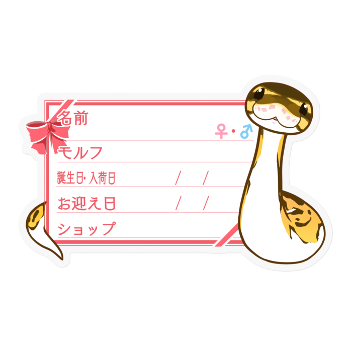 【🐍お名前ステッカー】ボールパイソン(パイボール) ‐リボン/ピンク