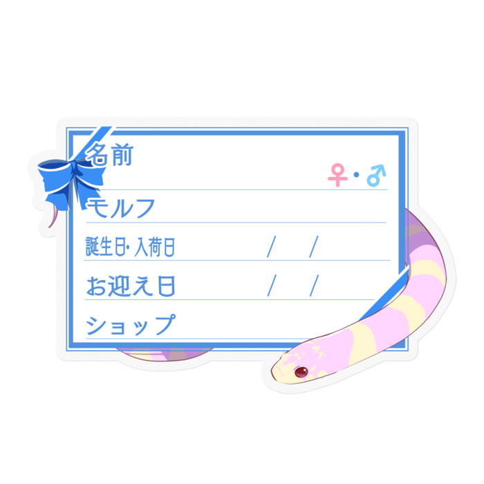 【🐍お名前ステッカー】カリキン(アルビノバンデット) ‐リボン/ブルー