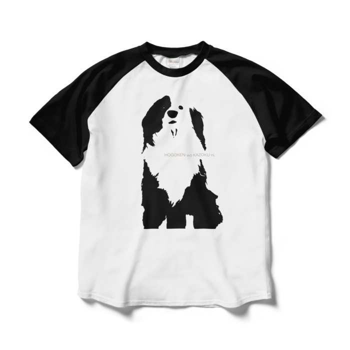 ラグランTシャツ - L