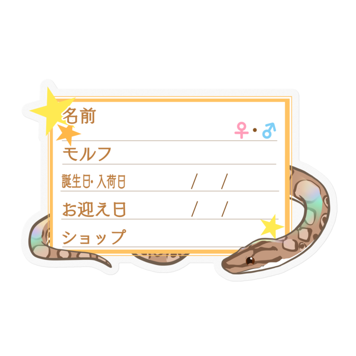 【🐍お名前ステッカー】コロニジ(ノーマル) ‐星