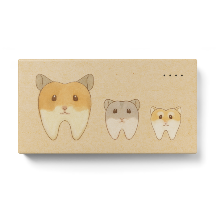 モバイルバッテリー - 123 x 65 (mm)