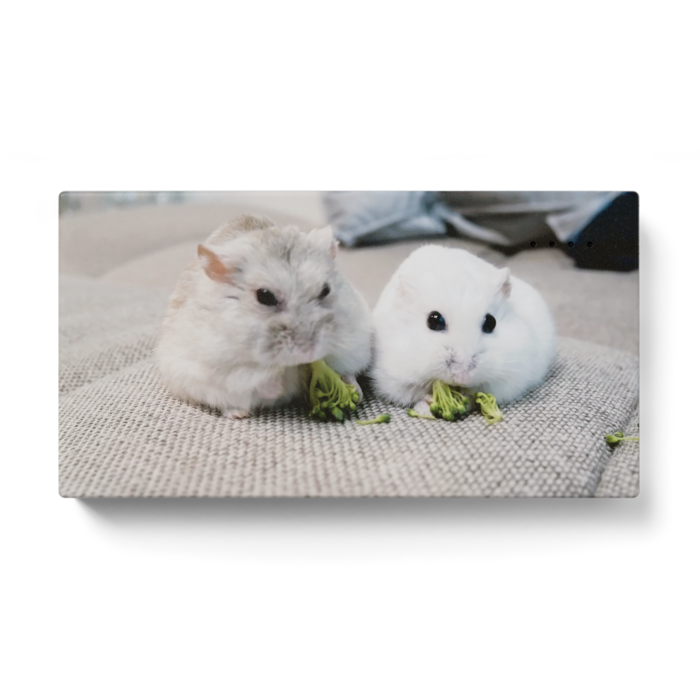 モバイルバッテリー - 123 x 65 (mm)(2)