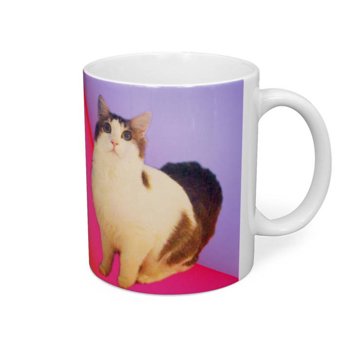 マグカップ - 直径 8 cm / 高さ 9.5 cm