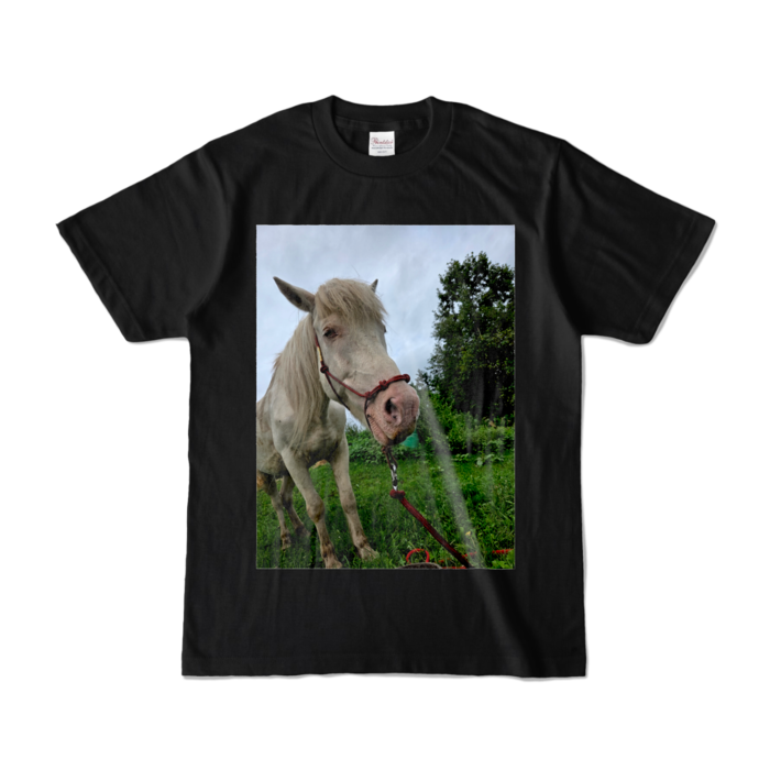 カラーTシャツ - S - ブラック (濃色)