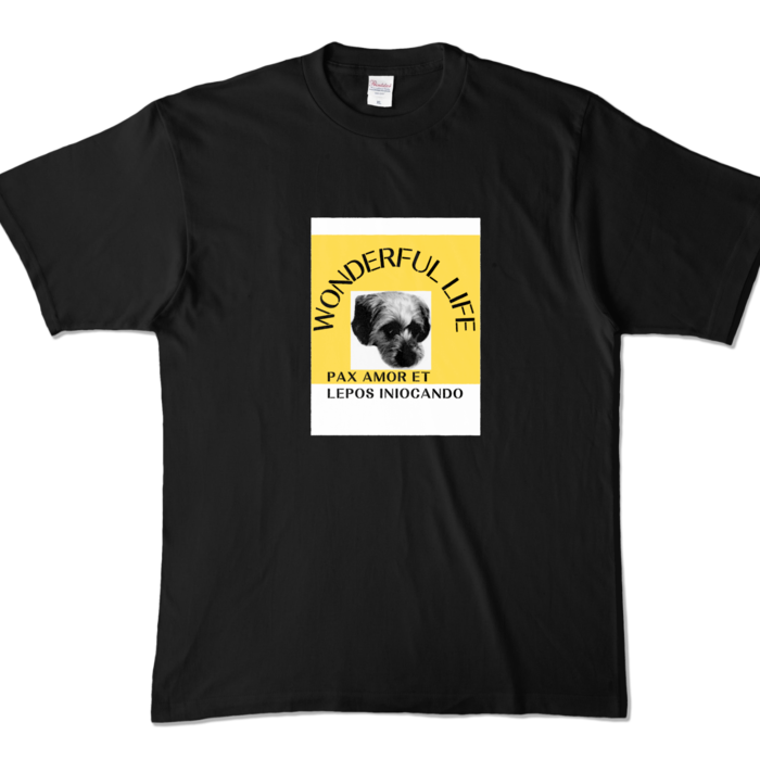 カラーTシャツ - XL - ブラック (濃色)