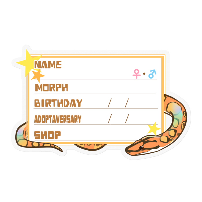 【🐍お名前ステッカー】ブラニジ(ノーマル) ‐星(英語)