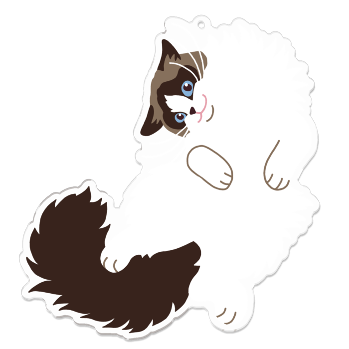 アクリルキーホルダー - 100 x 100 (mm)