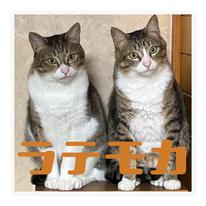 ステッカー - 100 x 100 (mm)