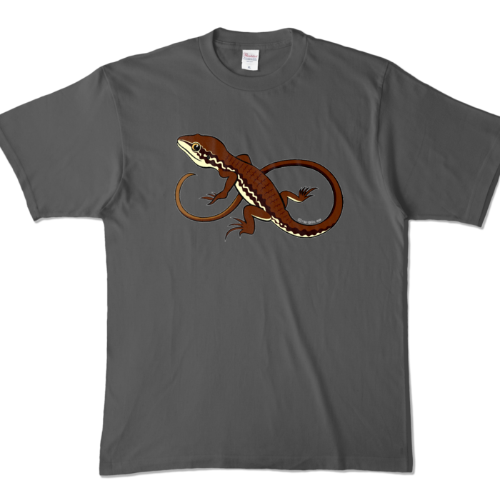 カラーTシャツ - XL - チャコール (濃色)(1)