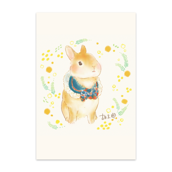 ポストカード(10枚セット) - 竹はだGA180kg