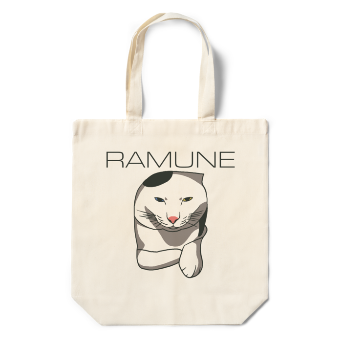 エコバッグ - 360×370×110(mm)