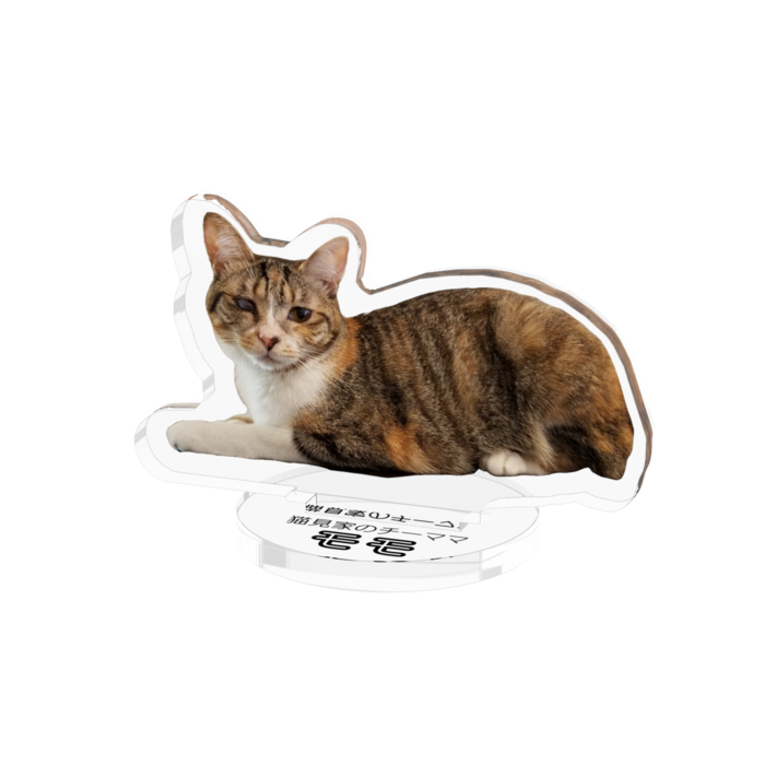 アクリルフィギュア - 50x50mm