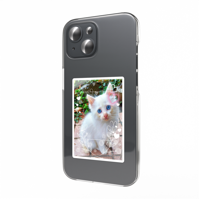 野良ニャーちゃん