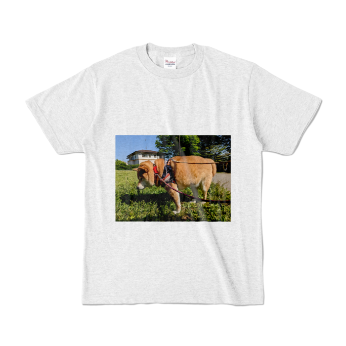 カラーTシャツ - S - アッシュ (淡色)