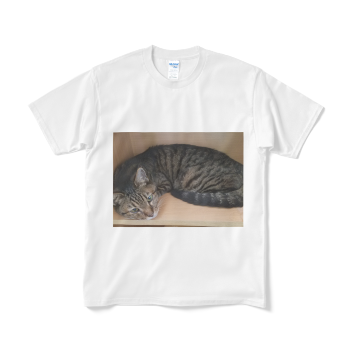 Tシャツ（短納期） - M - ホワイト