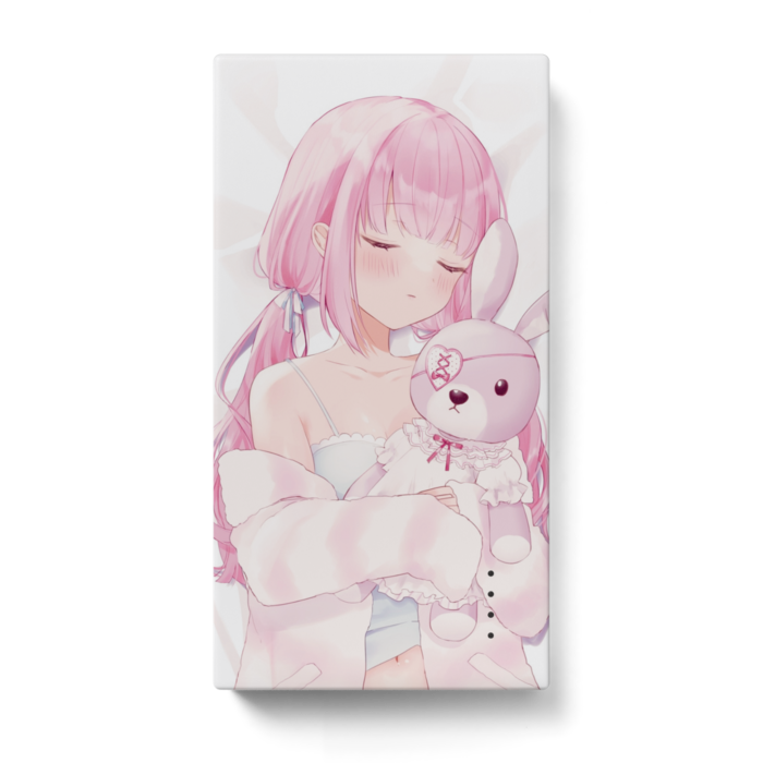 モバイルバッテリー - 123 x 65 (mm)(1)