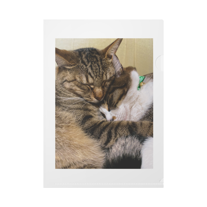 クリアファイル - A4