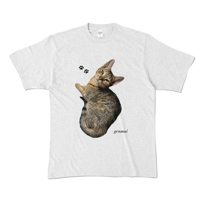 カラーTシャツ - XL - アッシュ (淡色)