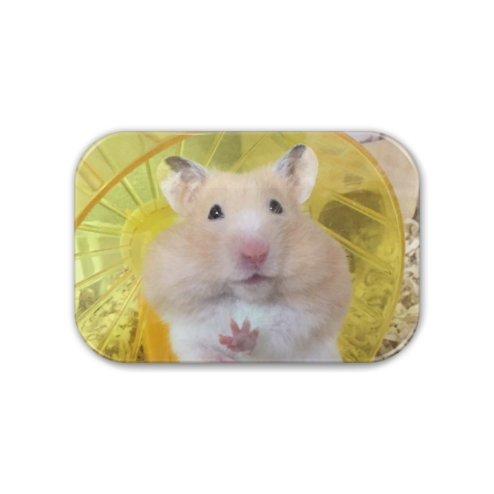 缶バッジ - 角丸 76x51mm