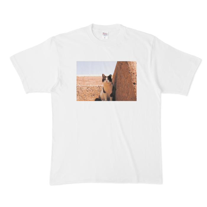 Tシャツ - XL - 白