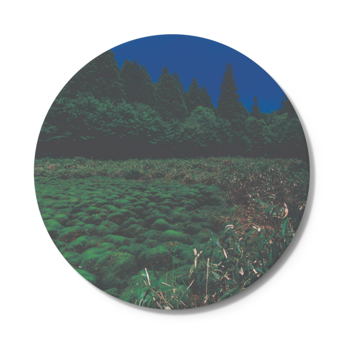 自然からの贈り物