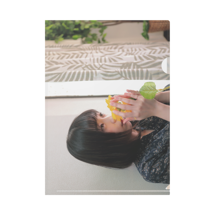 クリアファイル - A4