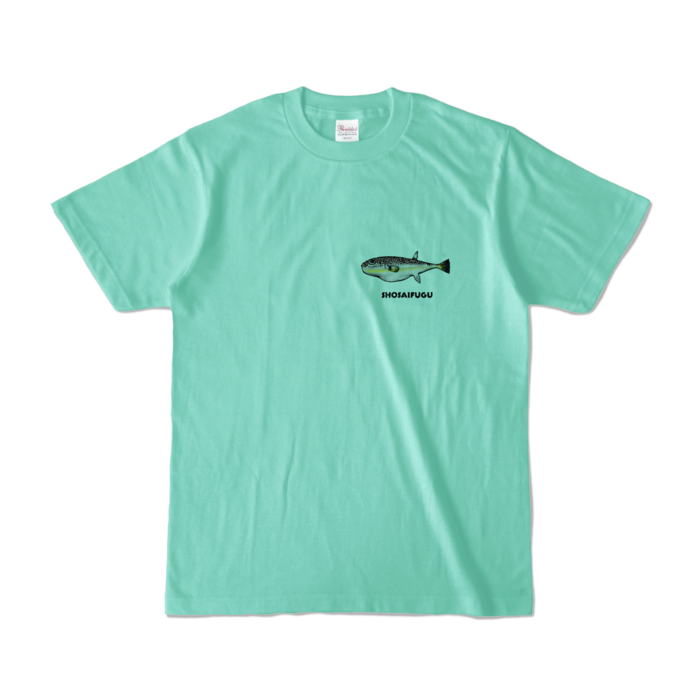 カラーTシャツ - S - アイスグリーン (淡色)