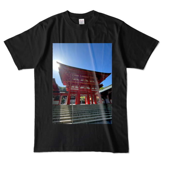 カラーTシャツ - L - ブラック (濃色)