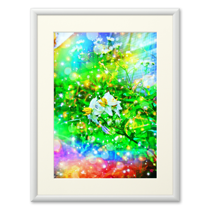 複製画(プリモアート) - A2