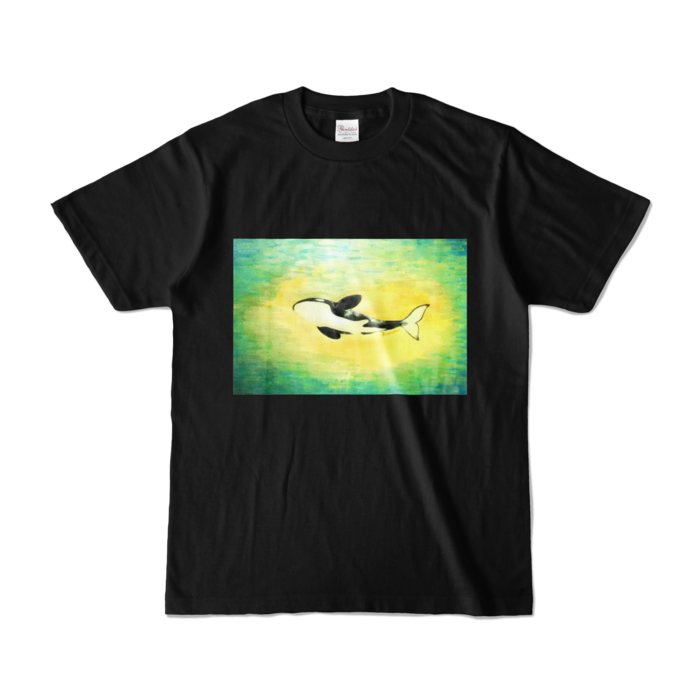 カラーTシャツ - S - ブラック (濃色)
