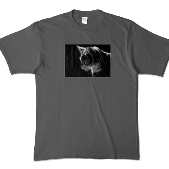 カラーTシャツ - XL - チャコール (濃色)